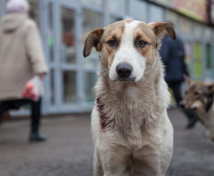 источник https://lotosgtrk.ru/upload/iblock/f8f/inx960x640.jpg