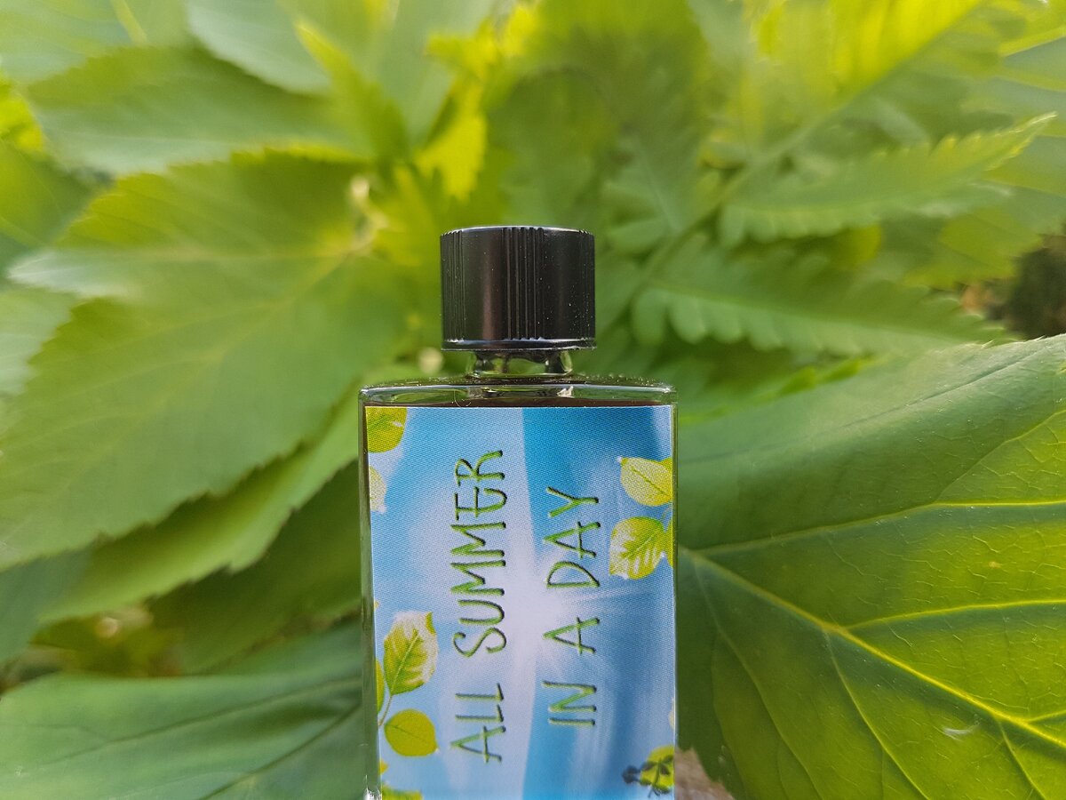 Acidica Perfumes духи All Summer in a Day