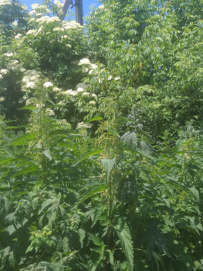 Ну как? Впечатляет.