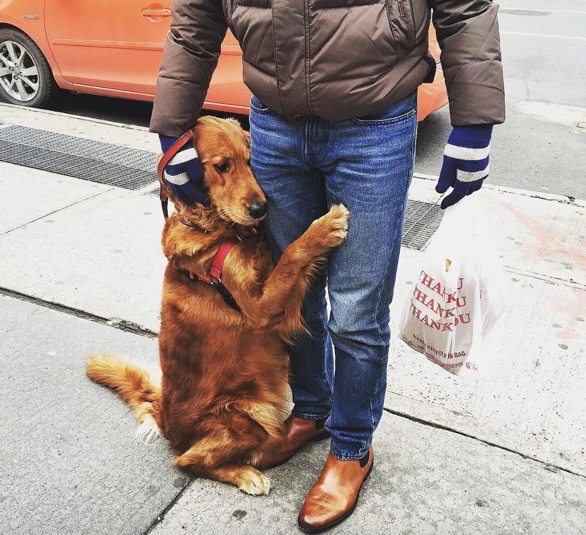 Эмоциональная привязанность