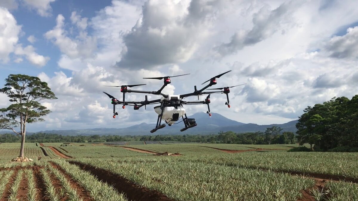 Фото взято из открытых источников