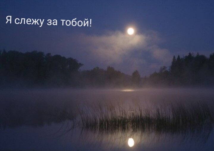 Ночь, река, красота... 