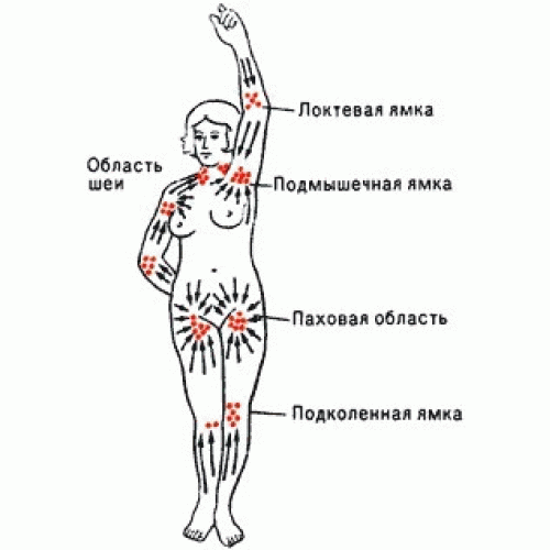 наша лимфатическая система 