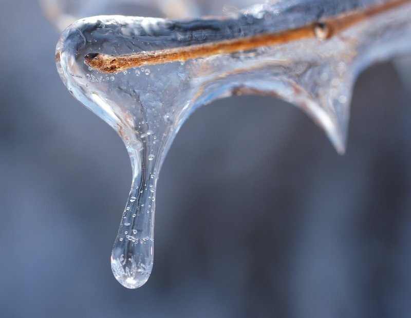 Замерзание воды. Замерзшая вода. Замерзшие капли воды. Замерзшая капля воды. Деревья залитые водой