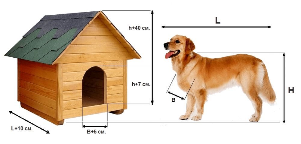 Строим будки для собак