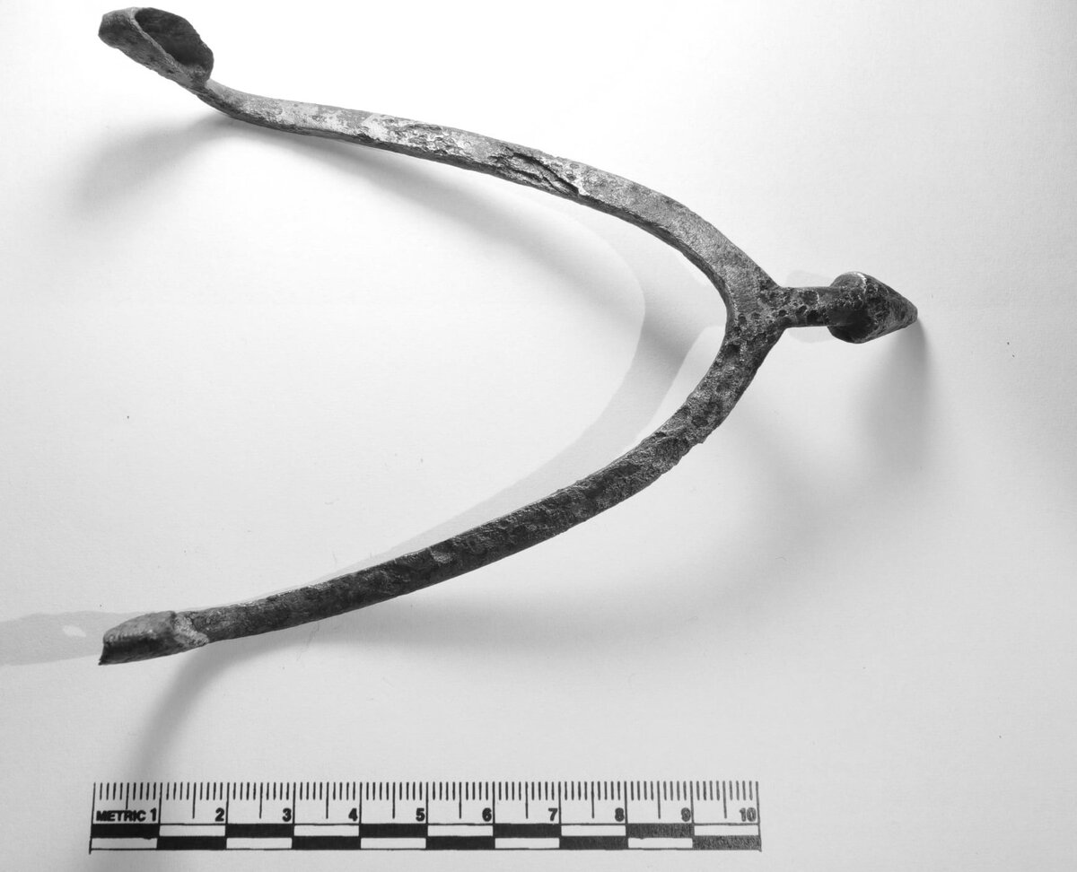 Рис. 2 Позолоченная шпора