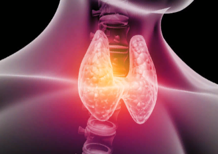 Источник: istockphoto.com