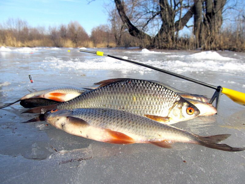 5 лайфхаков для зимней рыбалки