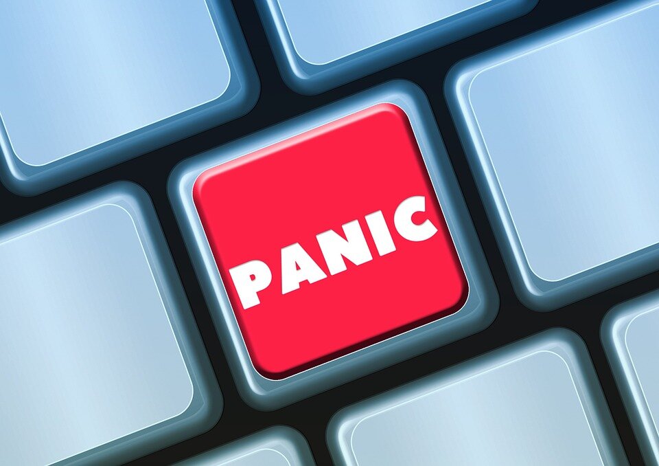 Изображение взято из открытых источников / pixabay.com