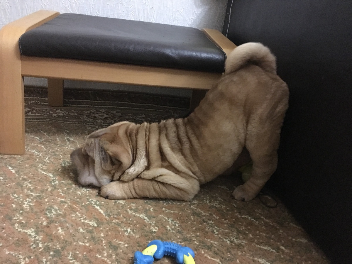 Игрулькин