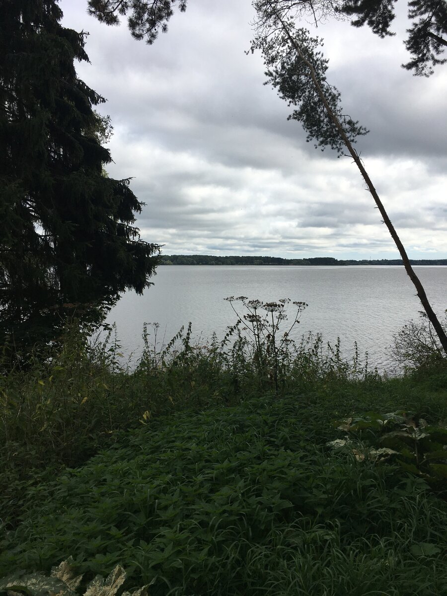 В сравнении с прошлым годом,в данный период времени вода сильно упала,думаю что это  увеличили сброс воды,в связи с дождями