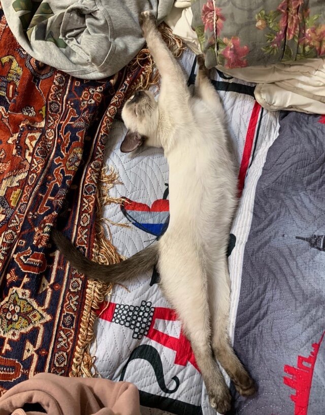 -2