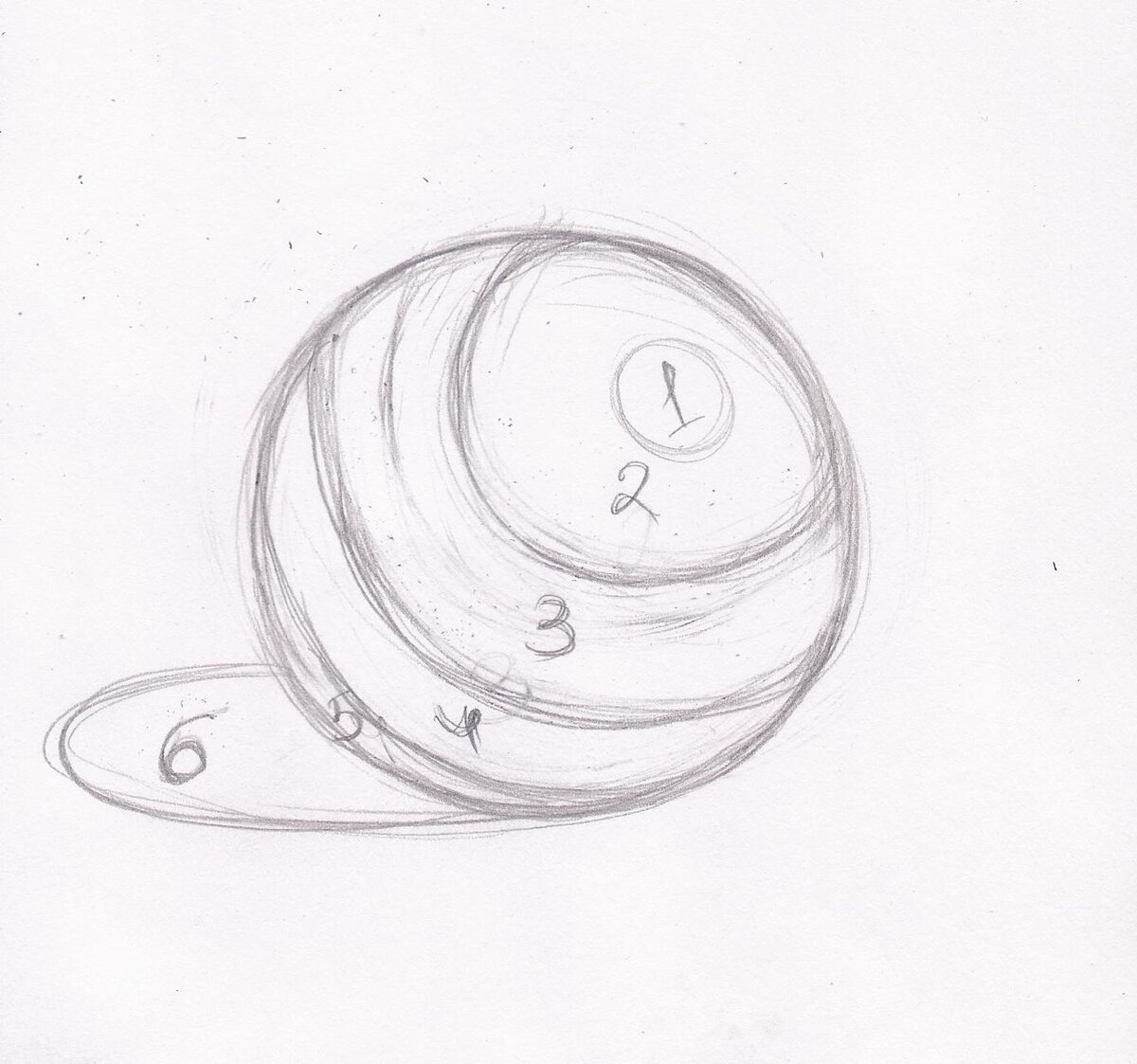 1.Блик, 2. Свет, 3.Полутень, 4. Тень собственная,5. Рефлекс, 6. Тень падающая