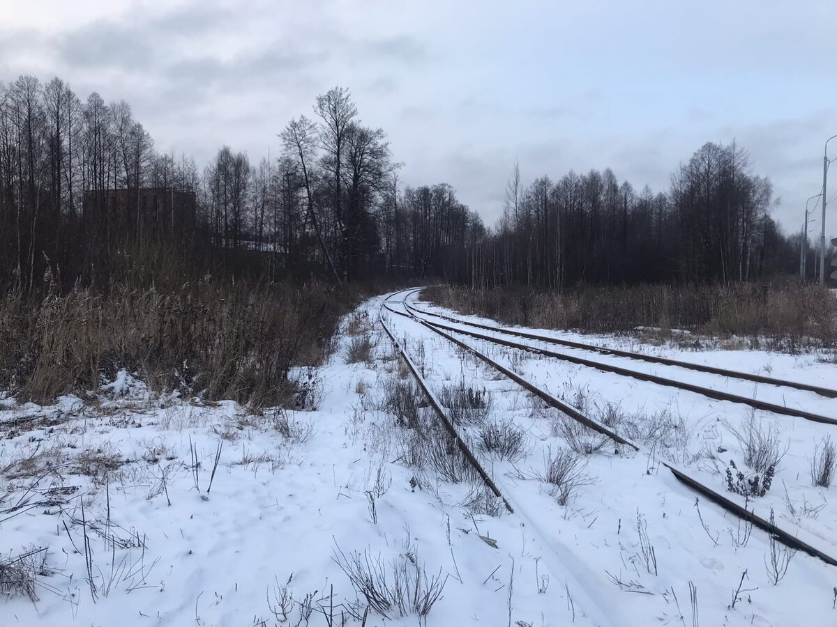 Два пути, ведущих к химкомбинату, сходятся в один. 