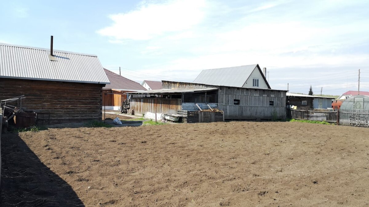 Дачное общество. Личное фото.