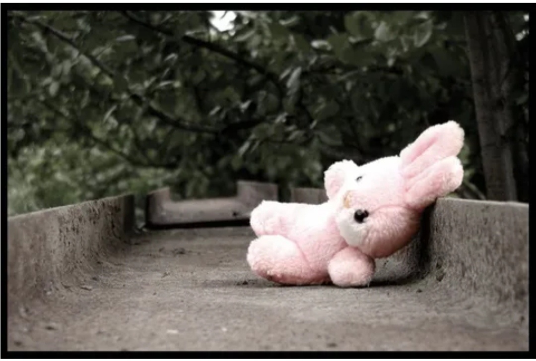 (Из открытых источников : Яндекс) 