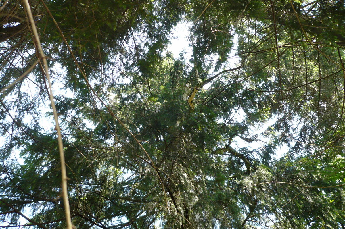 Фото из личного архива 