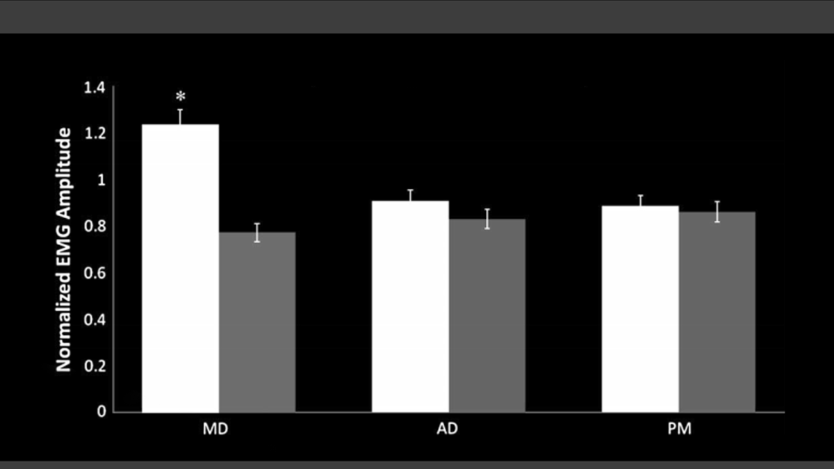Белые столбики указывают на активацию той или иной части дельты в жиме лёжа. Серые - в тренажере Смита. Слева направо: средняя, передняя и задняя части дельты.