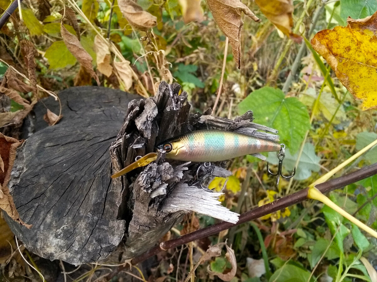 Воблеры Jackall - великолепны!