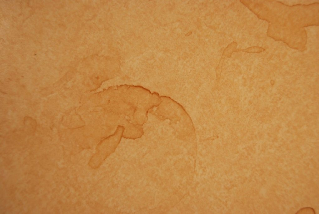 фото взято на сайте https://clck.ru/VSyzv