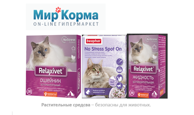 🐈Давать или не давать «Антисекс» кошкам?