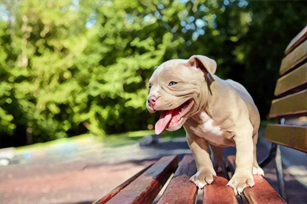 Улица представляет особую опасность для малыша, нужно быть всегда начеку