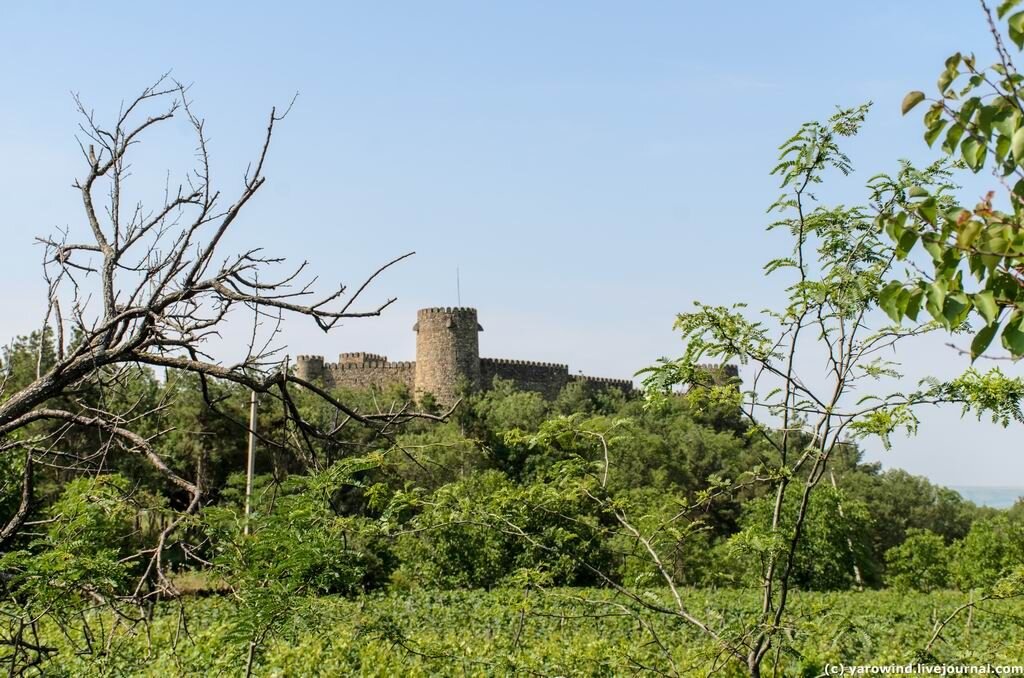 Грузия, крепость Patara Chailuri