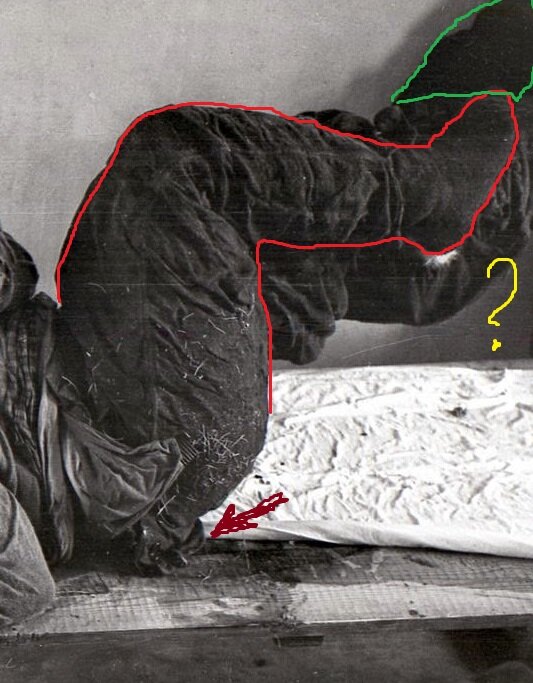 Коллаж автора с фотографии из открытого доступа.