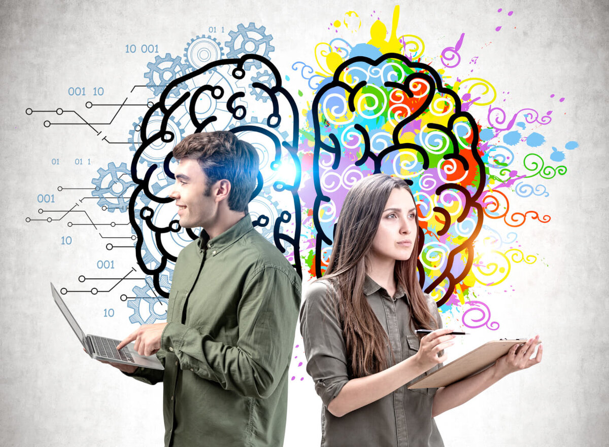 Развитие мозга — это процесс создания, укрепления или восстановления утраченных нейронных (синаптических) связей.