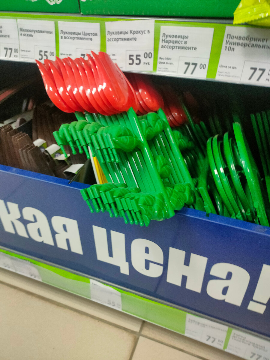 Первая находка 