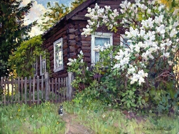 Цветёт черёмуха душистая