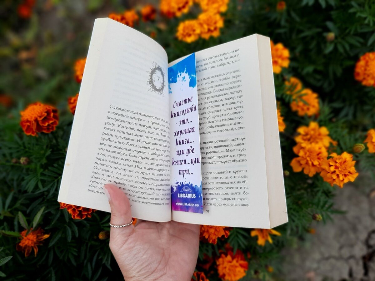 Счастье книголюба - это книги, много разных книг!