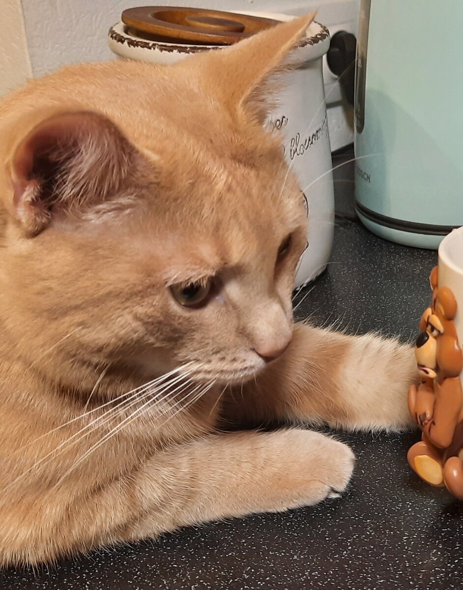 Ох рааанооо, встает охрааанаааа!