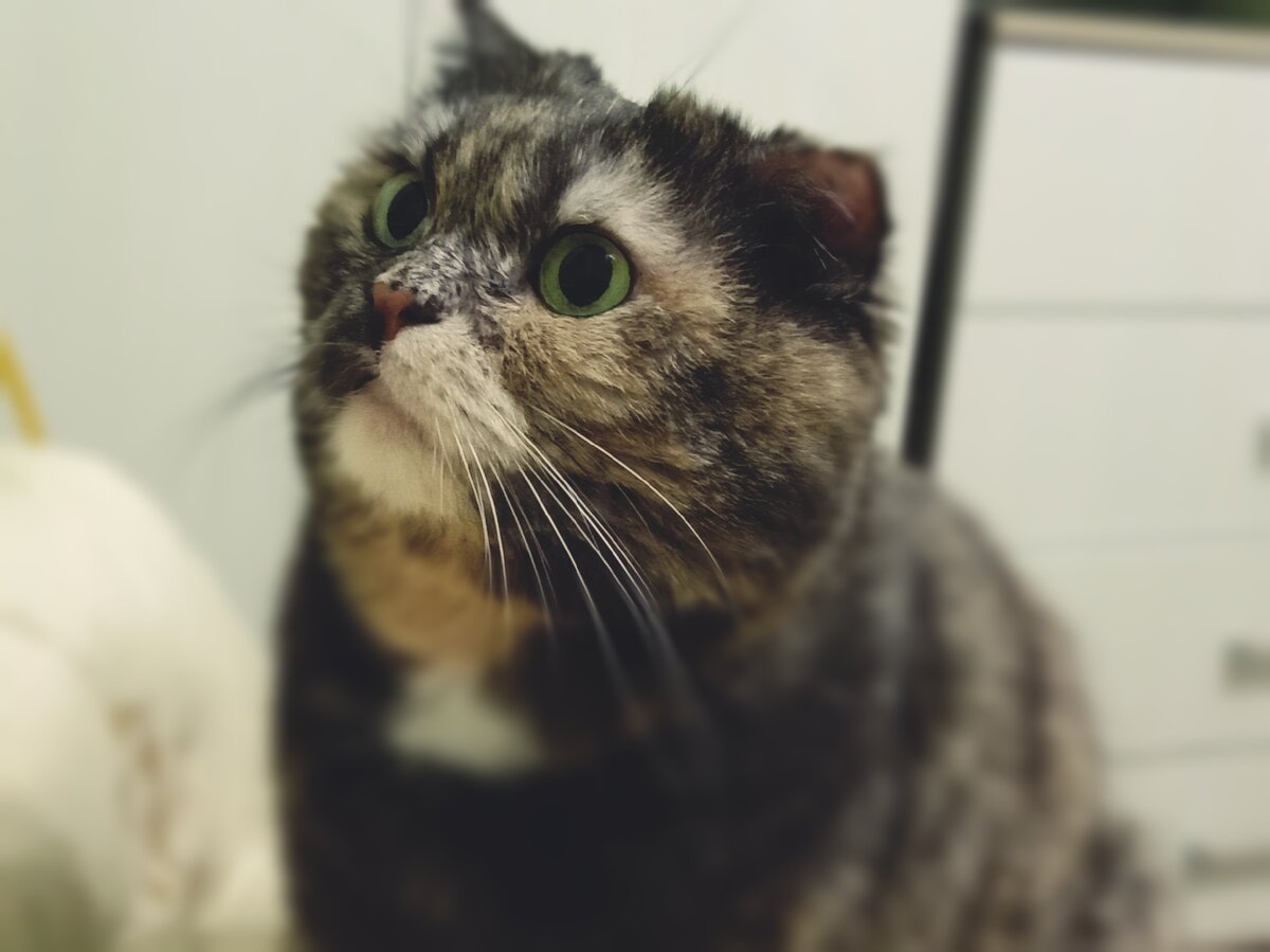 Ну-ка, ну-ка ...посмотрим