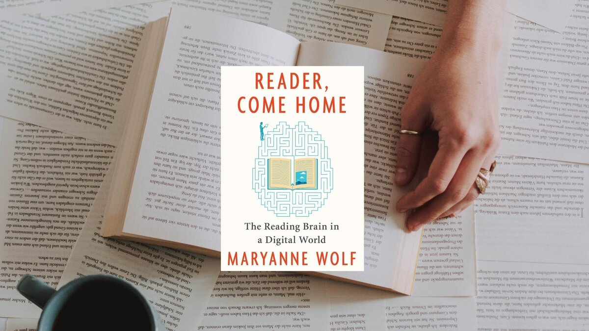 Каждый день декабря книга. Книжный декабрь. Декабрь книги. Каждый день декабря книга. Силвер один день в декабре книга.