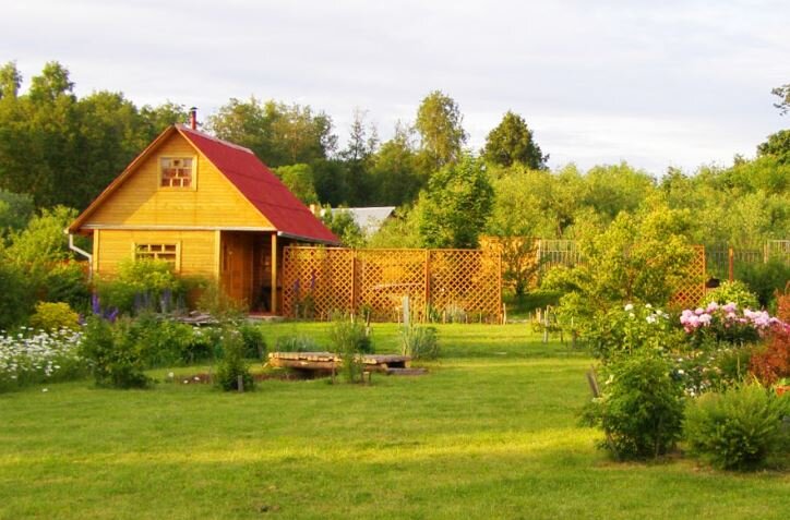 Панорама загородного участка. Дача панорама. Дача. Лето. Фото дачи летом.