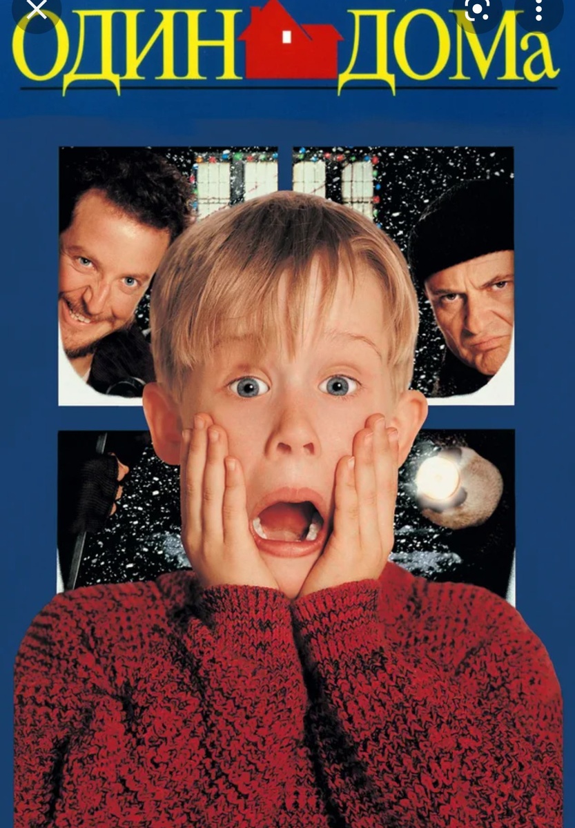 Постер к первому фильму "Один дома"