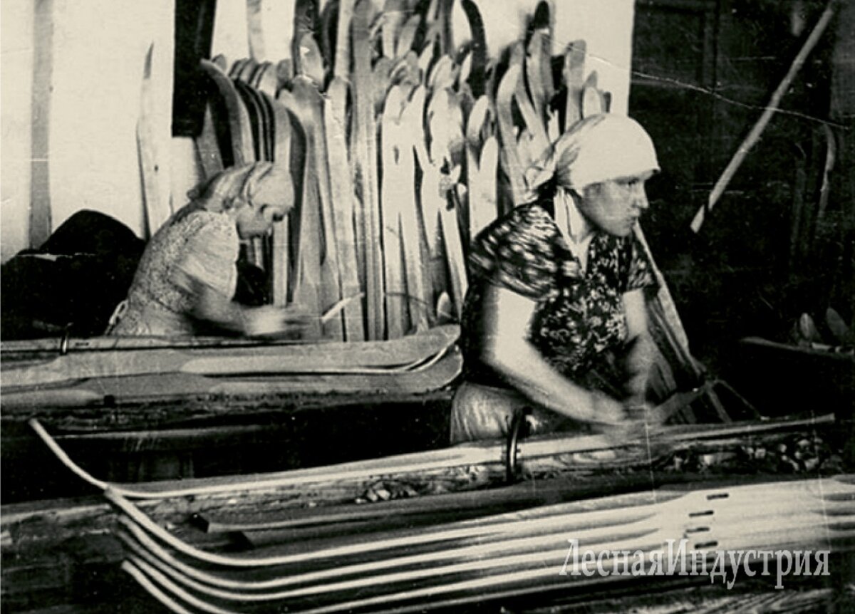 Фото из "лесной индустрии"