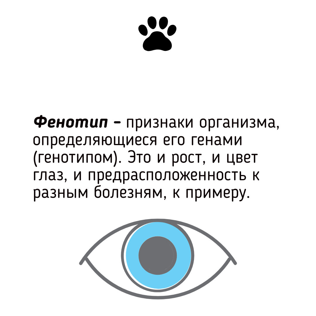 Некоторые термины