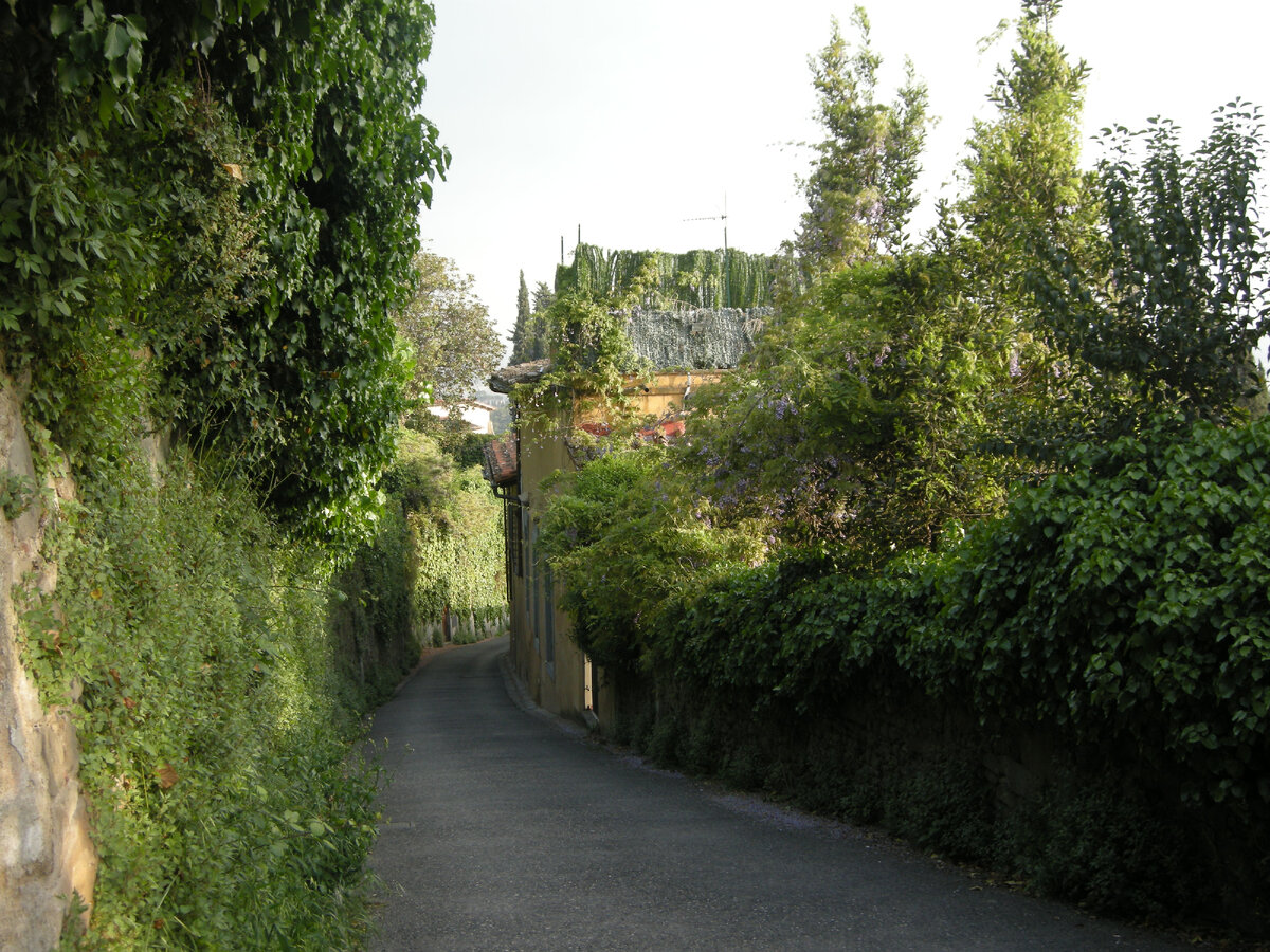 Все фотографии сделаны автором во время описываемых событий.