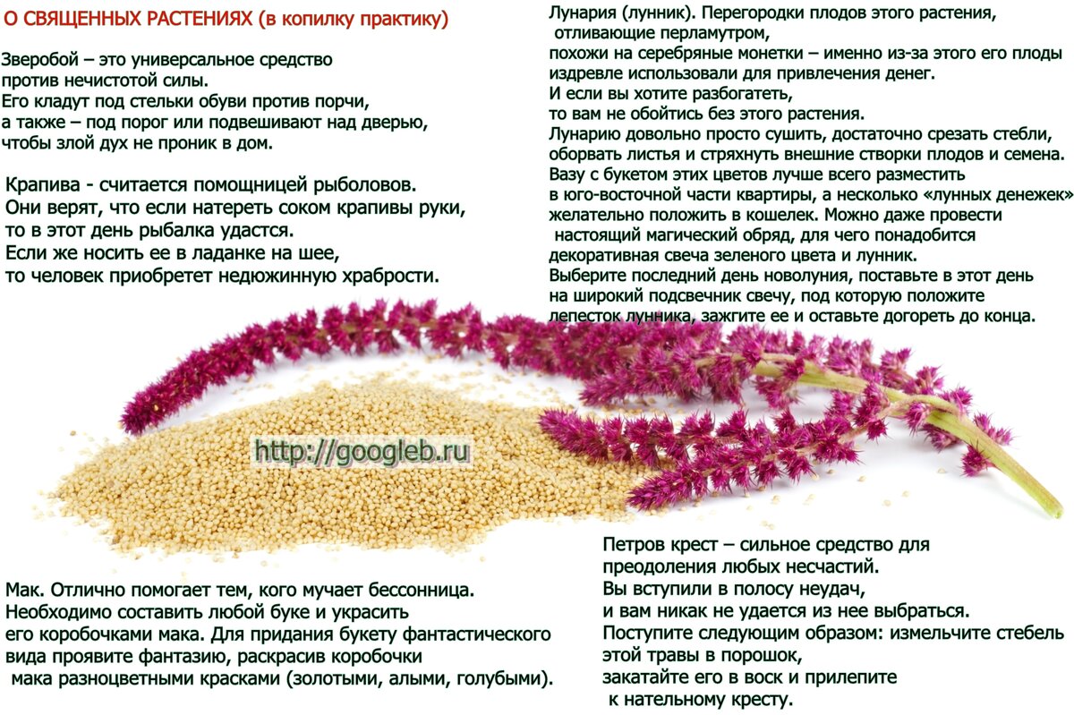 Зачем зверобой вешают над дверью