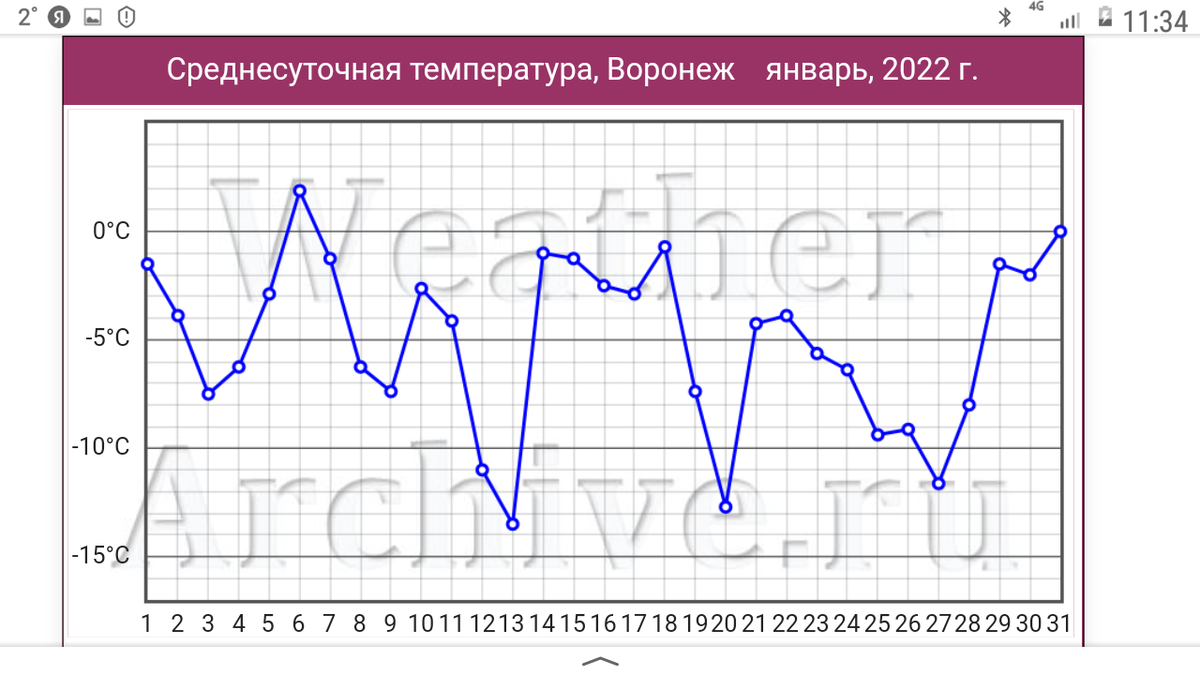 График температуры января 2022 года. 