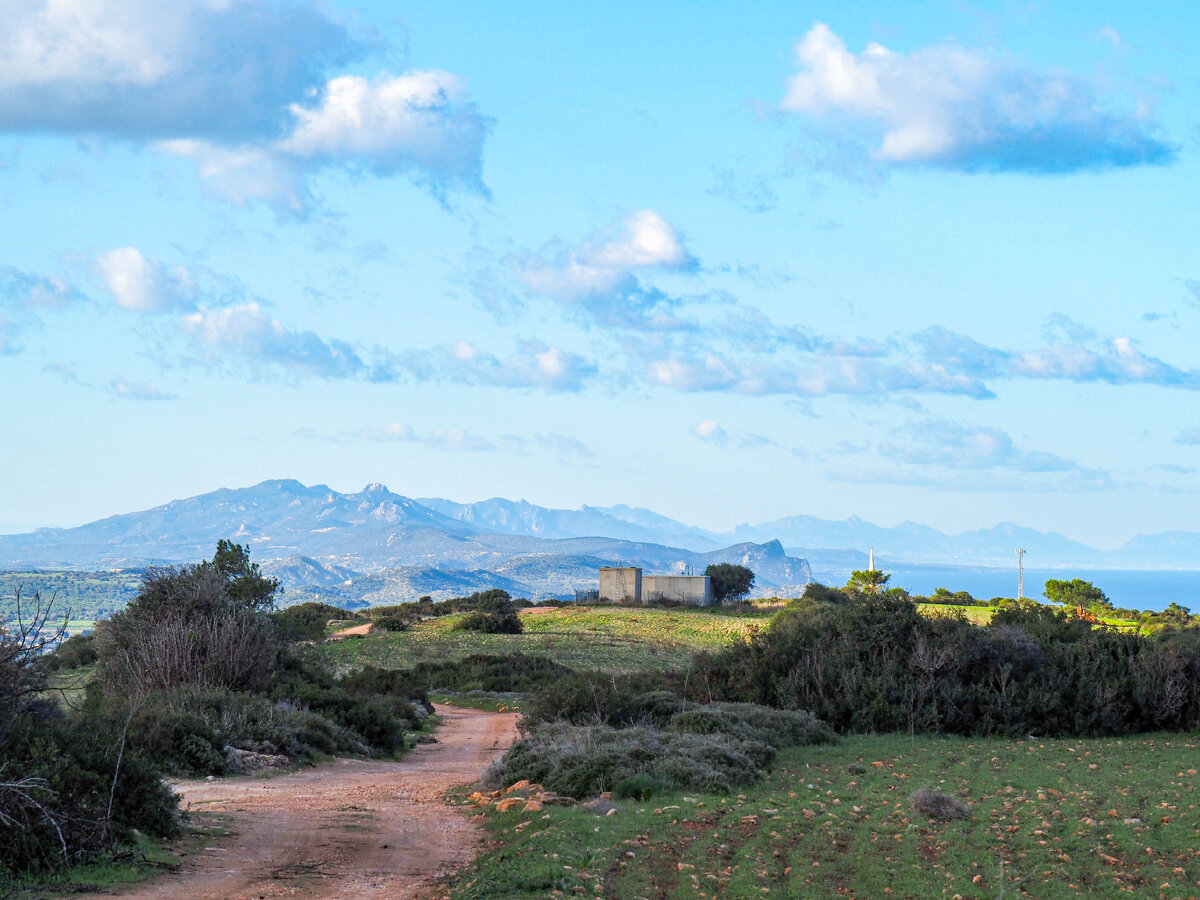 Пейзажи Северного Кипра. Впереди Киренийские горы