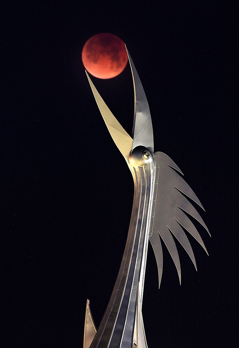 "Серенада восходящего солнца" (Изображение взято с https://gocadigital.org/outdoor-exhibitions/starr-kempf)