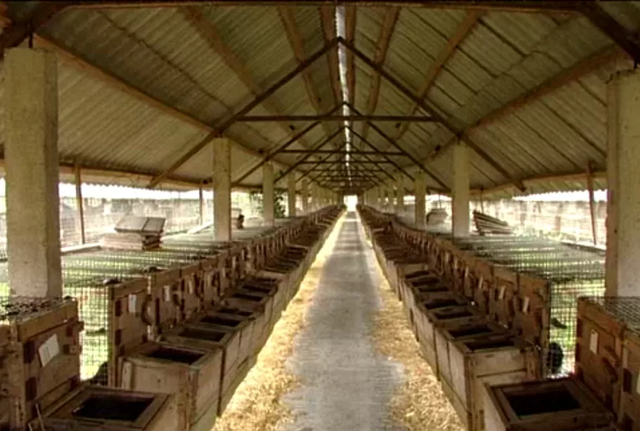 зверосовхоз