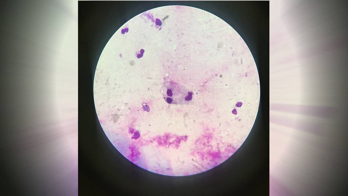    Фото: shutterstock