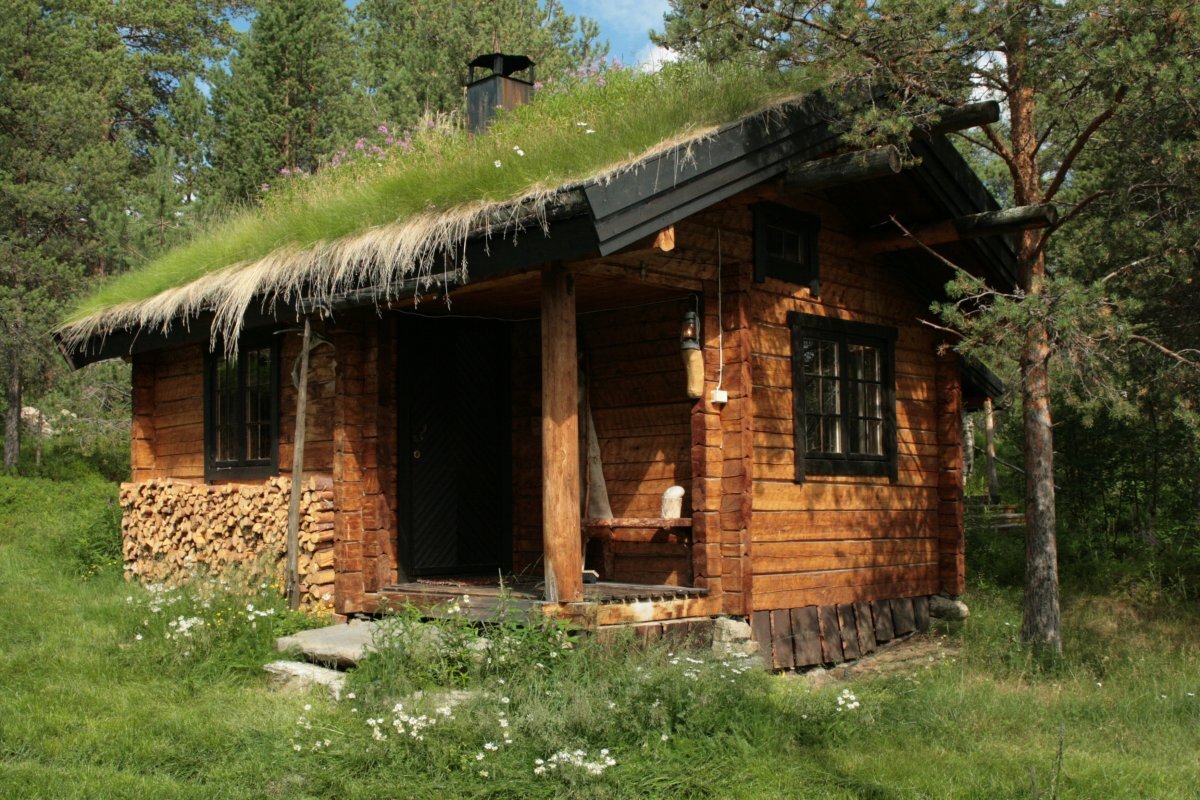 Фото из свободного доступа