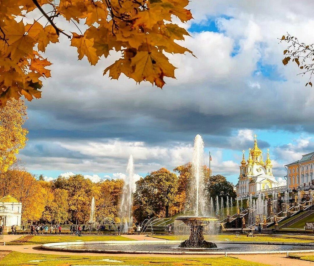 Золотая осень в СПБ Петроградка