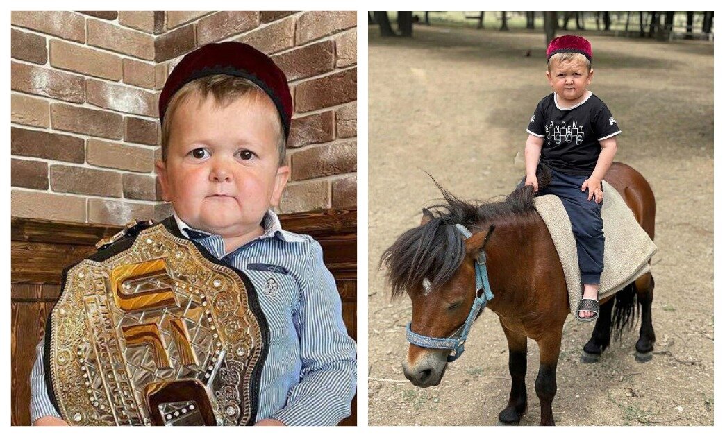    Блогер Хасбик принесет UFC популярность. Фото: Соцсети Хасбуллы Магомедова