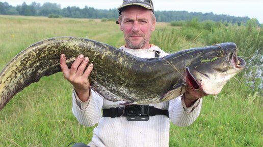 Монета 3 сом 2008 киргизия. Монета 1 сом 2008. Фото три сома. 3д модель сома. Три сом.